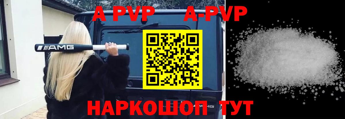 Alfa_PVP СК Сунжа