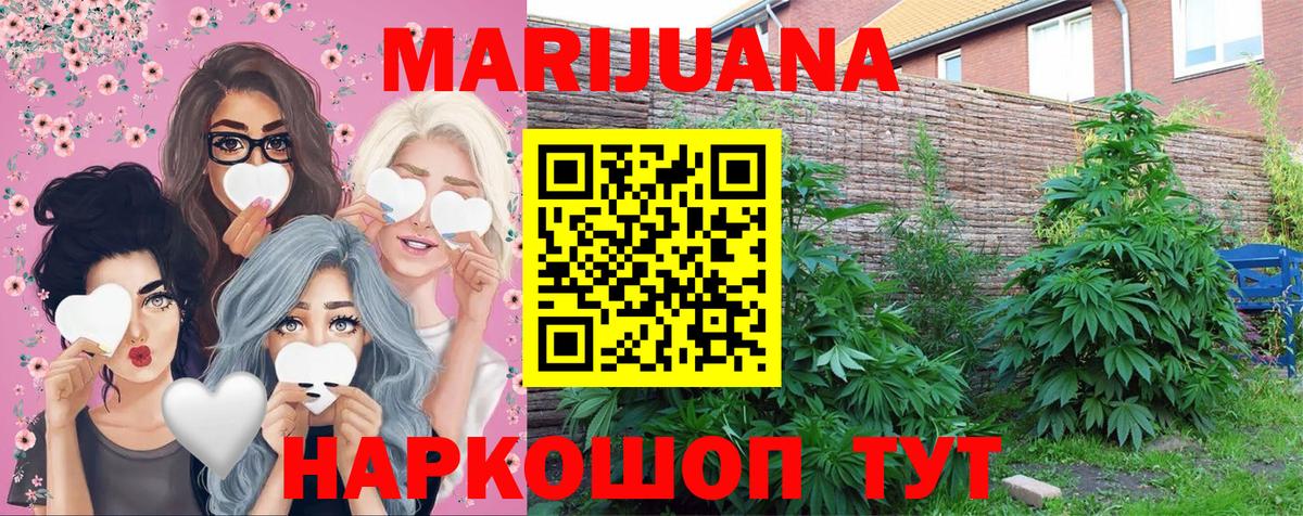 Бошки Шишки конопля Сунжа